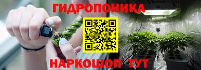 крисы Свободный