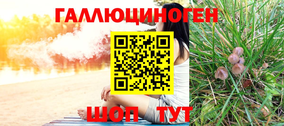 Галлюциногенные грибы Psilocybine cubensis  сколько стоит  Галлюциногенные грибы Cubensis  Семёнов  Вход с VPN 