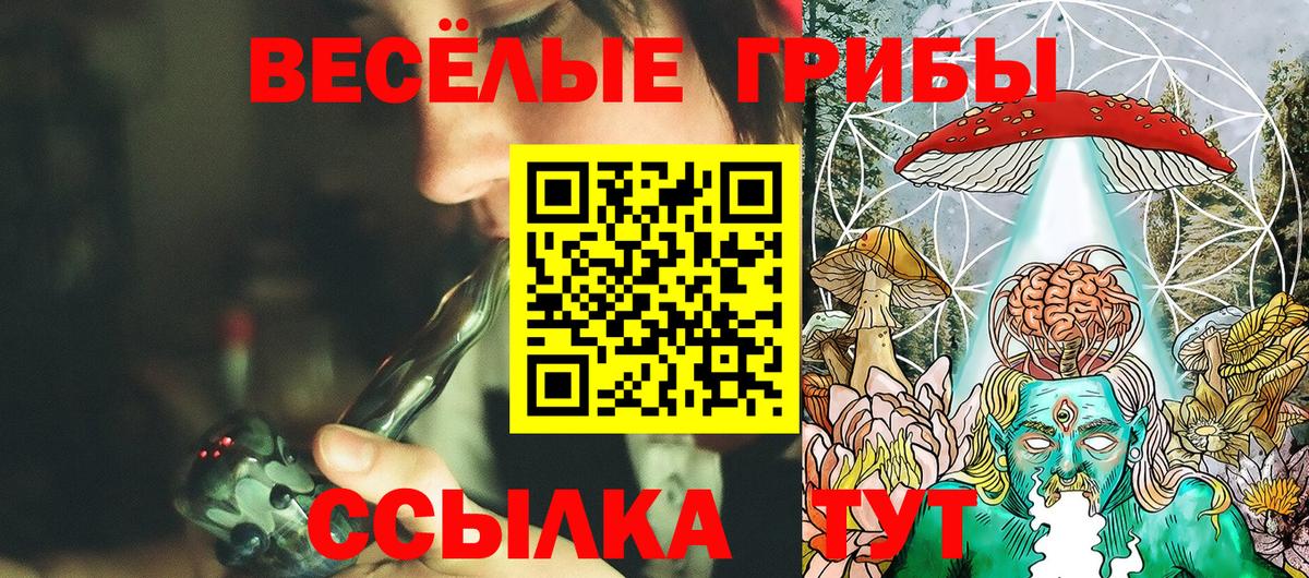 Галлюциногенные грибы GOLDEN TEACHER Семёнов